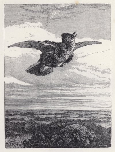 Løvlærkens sang (gravering) af Harrison William Weir