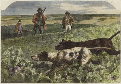 Den første september af Harrison William Weir