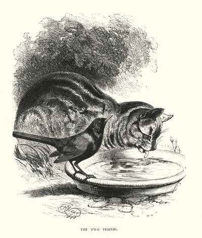 De to venner (gravering) af Harrison William Weir
