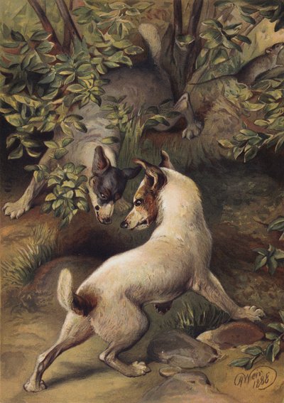 To hunde, der prøver at nå en vandpulje for at drikke (Chromolitho) af Harrison William Weir