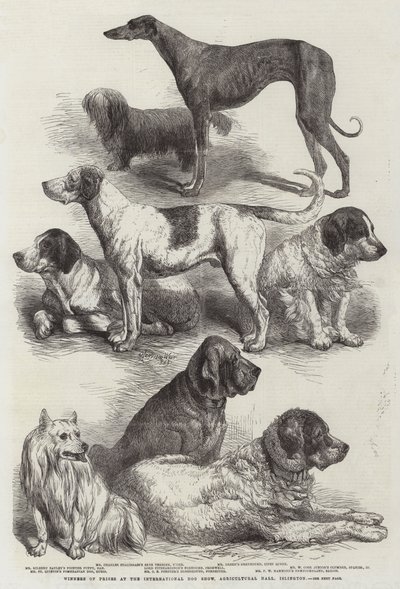 Vindere af priser ved International Dog Show, Agricultural Hall, Islington af Harrison William Weir
