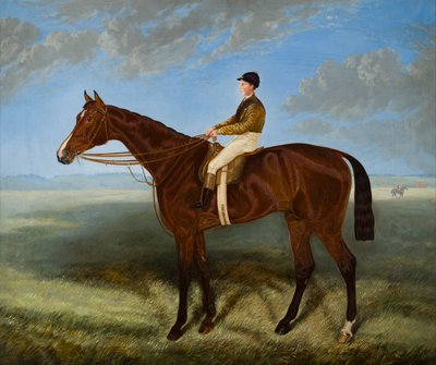 Salpinctes-en væddeløbshest, ca. 1814-82 (olie på lærred) af Harry (after) Hall