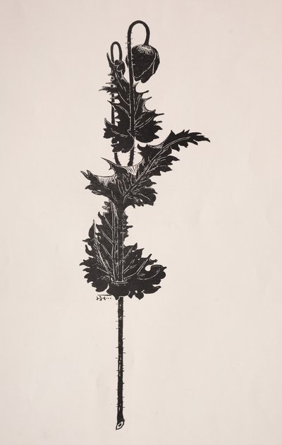 Blomsterstudie. af Harry Fenn