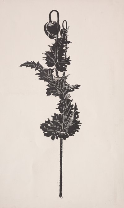 Blomsterstudie. af Harry Fenn