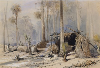 Cypress-Shingle Yard, Ocklawaha River, Florida, 1870. af Harry Fenn