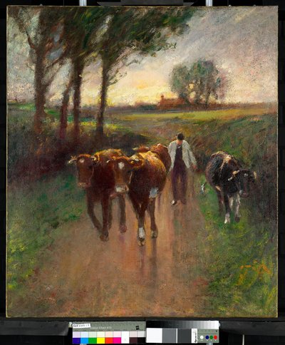 At drive køer på græs af Harry Fidler