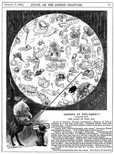Essence of Parliament: Tegneserie, der markerer åbningen af Parlamentets første session i 1883 (trægravering) af Harry Furniss