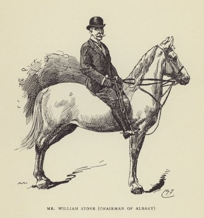 Mr. William Stone, formand for Albany af Harry Furniss