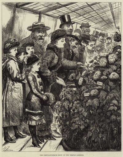 Krysantemumshowet i tempelhaven af Harry Furniss