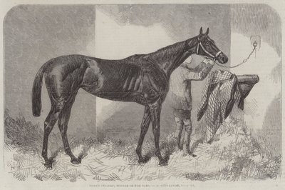 Brun hertuginde, vinder af Oaks af Harry Hall