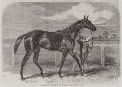 Caller Ou, vinderen af St Leger af Harry Hall