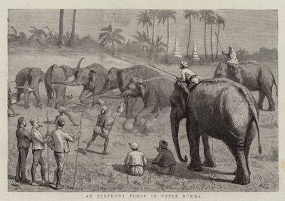 En elefantpud i Øvre Burma af Harry Hamilton Johnston