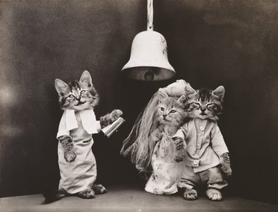 Serie af killinger: Wedding, ca. 1914 (sølvtryk) af Harry Whittier Frees