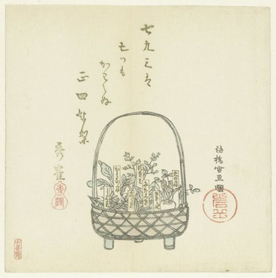 En kurv af unge skud af Hasegawa Settan