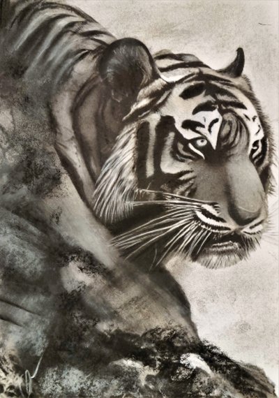 Tigre på jagt af HaskellArt