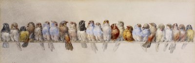 A Perch of Birds, ca. 1880 (akvarel og grafit på papir) af Hector Giacomelli