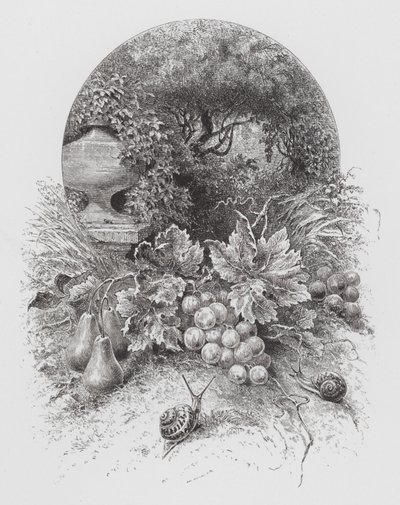 Insektet: Snegle (gravering) af Hector Giacomelli