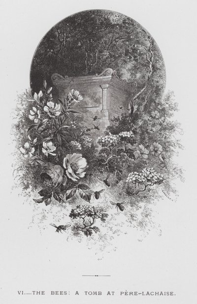 Insektet: Bierne, en grav ved Pere-Lachaise (gravering) af Hector Giacomelli