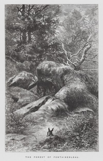 Insektet: Fontainebleau-skoven (gravering) af Hector Giacomelli