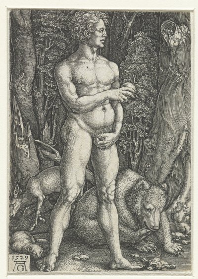 Adam af Heinrich Aldegrever