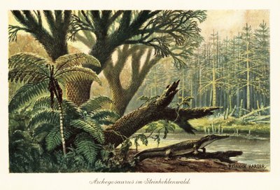 Archegosaurus decheni ved en flod i en urjungle. af Heinrich Harder