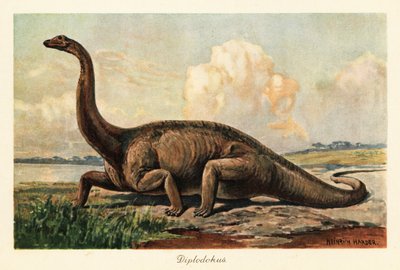Uddøde Diplodocus longus på sletterne. af Heinrich Harder