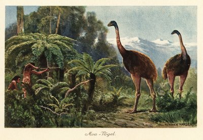Moa-fugle, der jages af mænd med bue og pile. af Heinrich Harder
