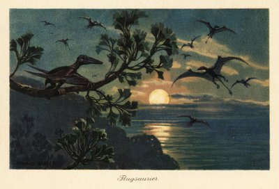 Rhamphorhynchus pterosaurs flyver i måneskin. af Heinrich Harder