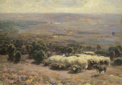 En flok får i Luneburger Heide, 1902 af Heinrich Johann von Zugel