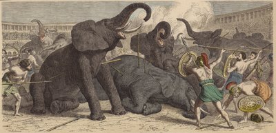 Drab på fangede elefanter i en romersk arena af Heinrich Leutemann