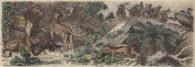 Sydafrika (farvet gravering) af Heinrich Leutemann