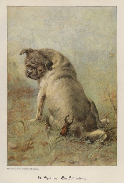 En ballademager (farvet gravering) af Heinrich Sperling