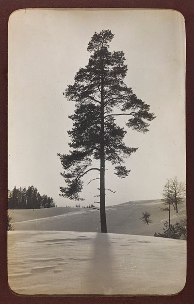 Første Verdenskrig: 