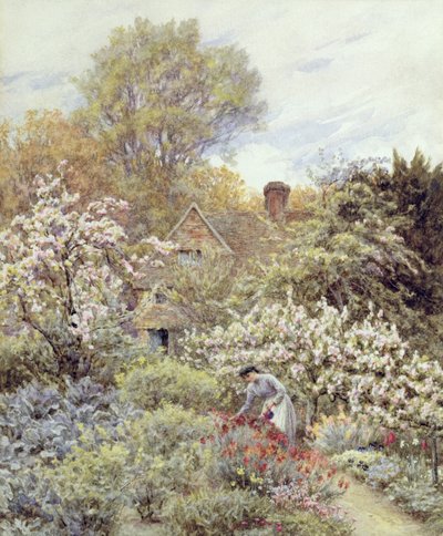 A Garden in Spring (watercolor on paper) af Helen Allingham