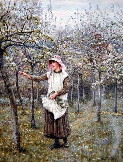 Blossom Time (akvarel på papir) af Helen Allingham