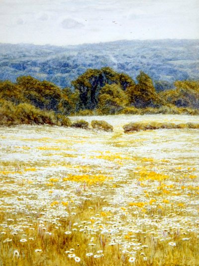Oxeye Daisies, nær Westerham, Kent (akvarel på papir) af Helen Allingham