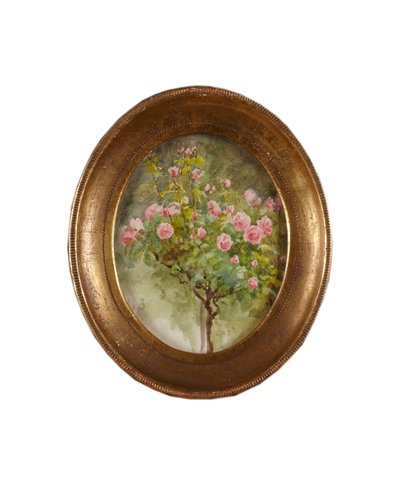 Rose Bush (akvarel på papir) af Helen Allingham