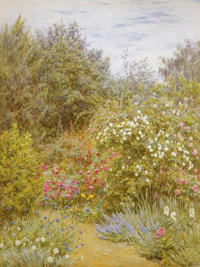 Roses in a Surrey Garden (wc på papir) af Helen Allingham