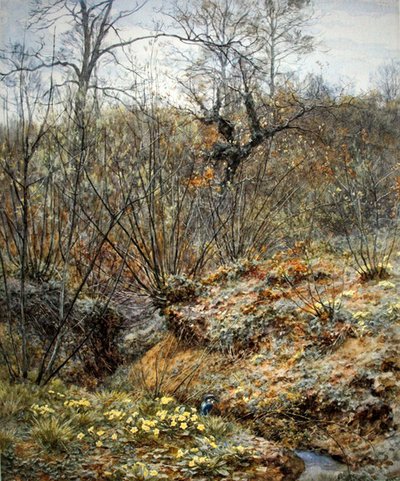 Spring copse, Witley, Surrey (akvarel på papir) af Helen Allingham
