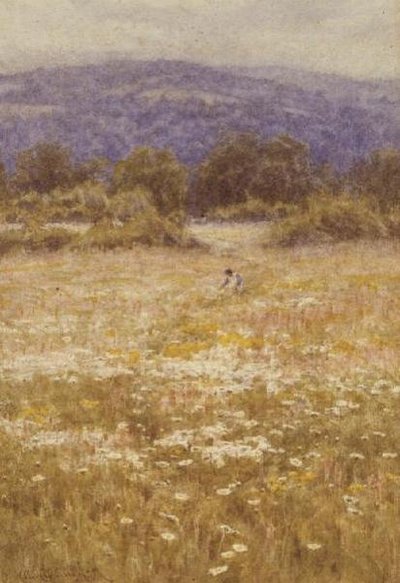 Sommerblomster af Helen Allingham