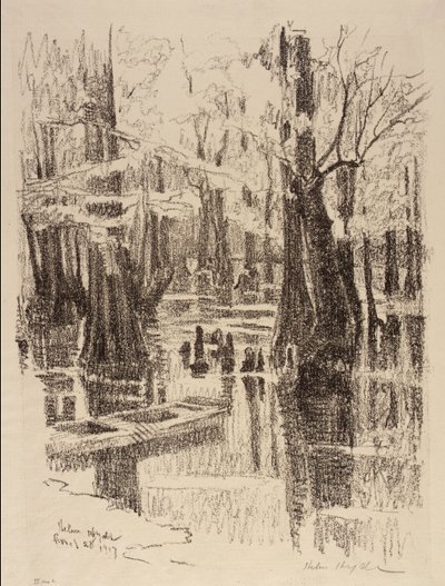 Cypress-sumpen af Helen Hyde