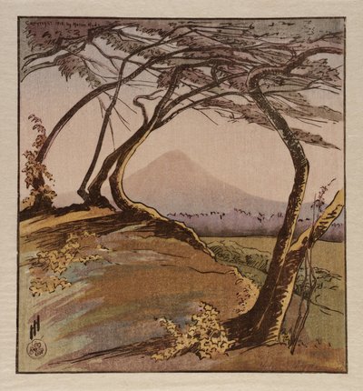 Mount Orizaba af Helen Hyde