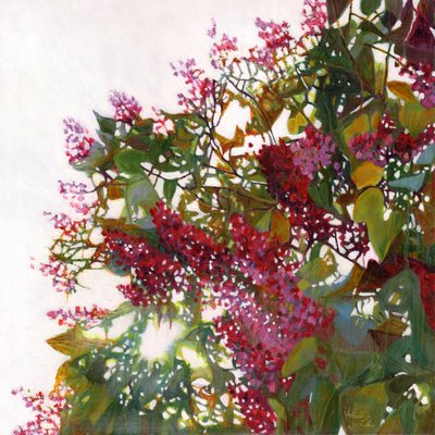 Aglow, 2015 af Helen White