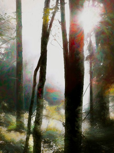 Dare to Believe, 2018 af Helen White