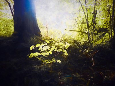 Helliget sted, 2018 af Helen White