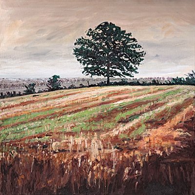 Sent eftermiddagsfelt, 2009 af Helen White