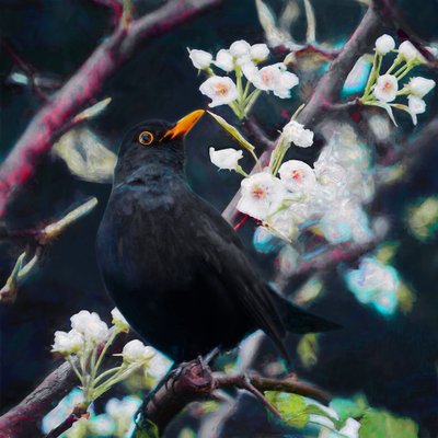 Sommersangens herre, 2019 af Helen White