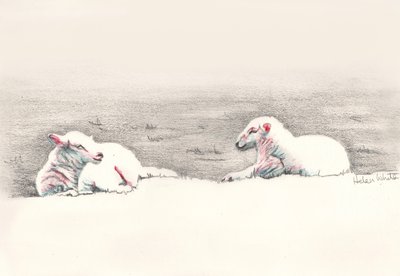 Napping, 2016, (blyantstegning) af Helen White
