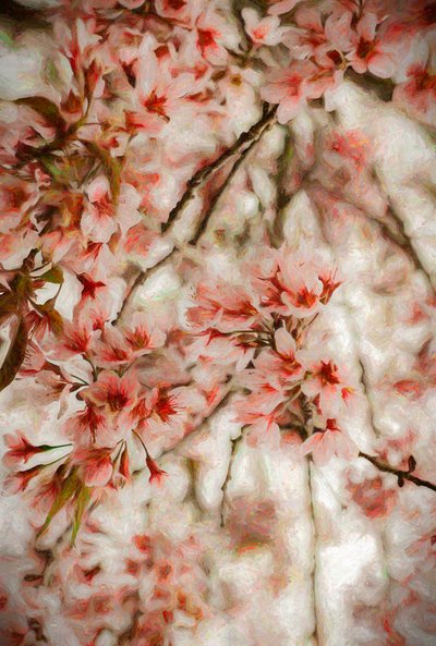 Orientalis, 2020 af Helen White