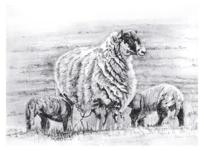 Stolt, 2012 af Helen White